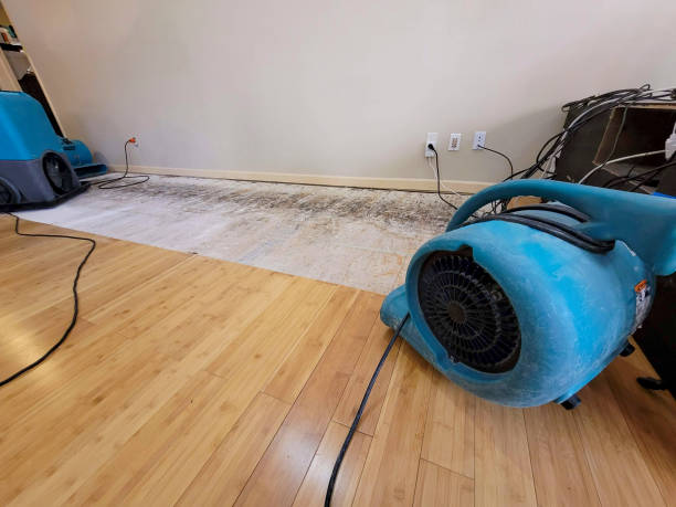 Professional Flood Damage Cleanup technician working in Boonville, CA